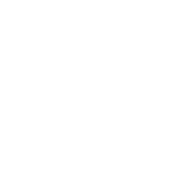 BB52 Burger